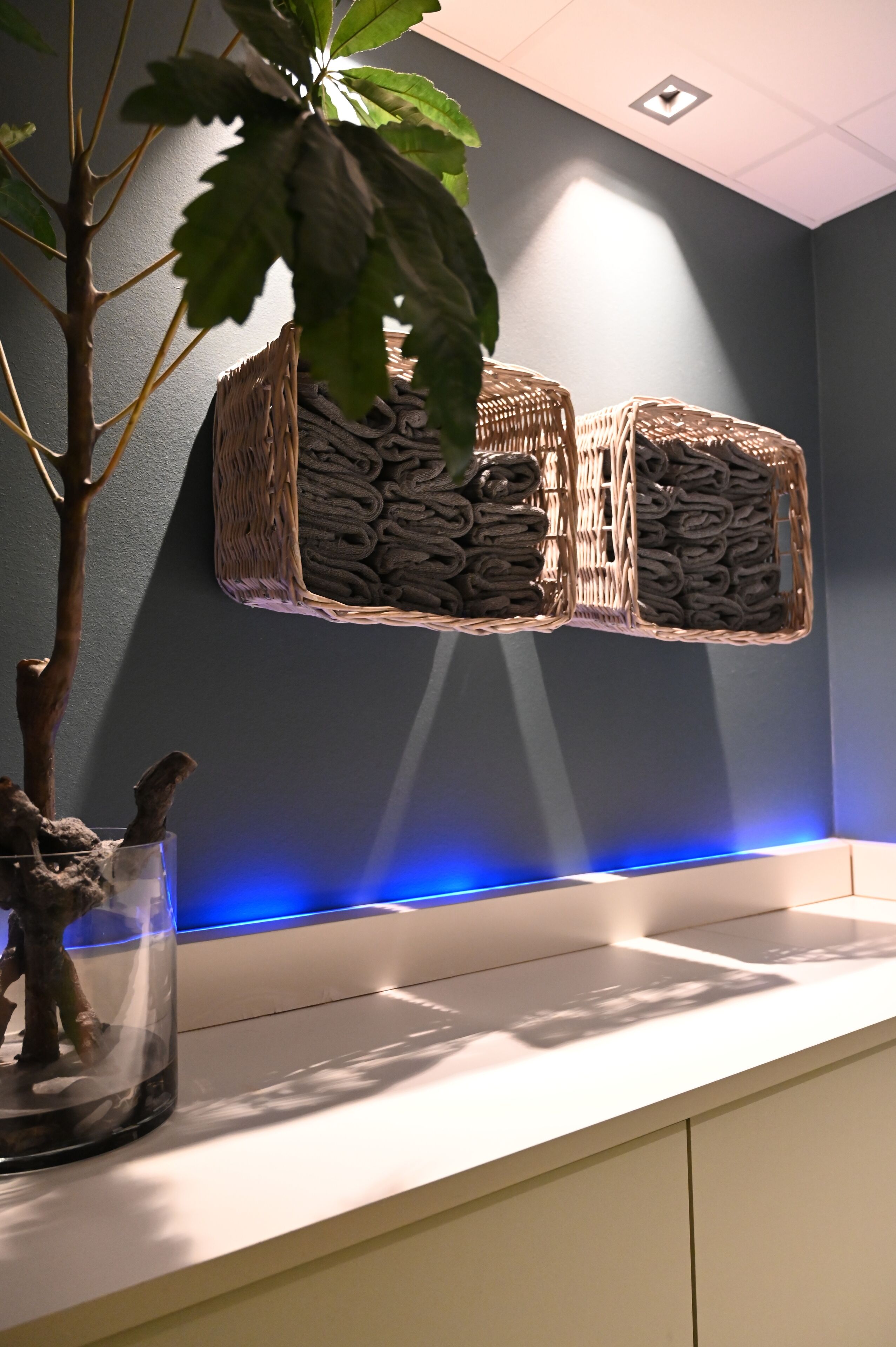 Un área de recepción con una planta en un florero de vidrio, cestas de mimbre en una pared y una barra con una tira de luz azul.