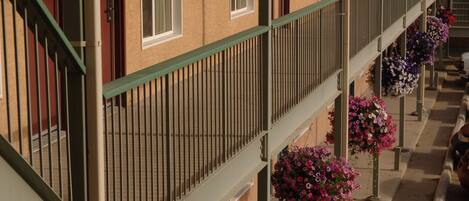 A row of single-story buildings with balconies, each featuring a hanging flower basket.