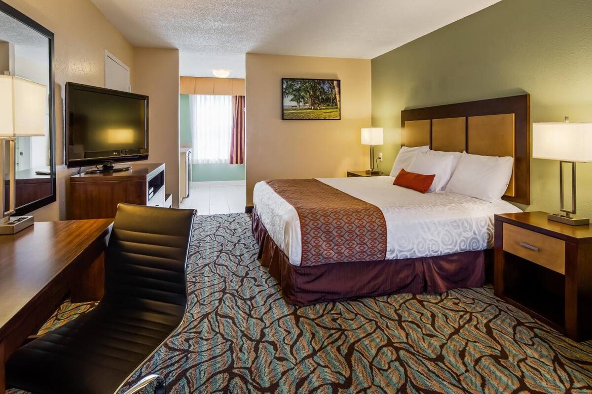 premium bedding, individually decorated, individually furnished, desk