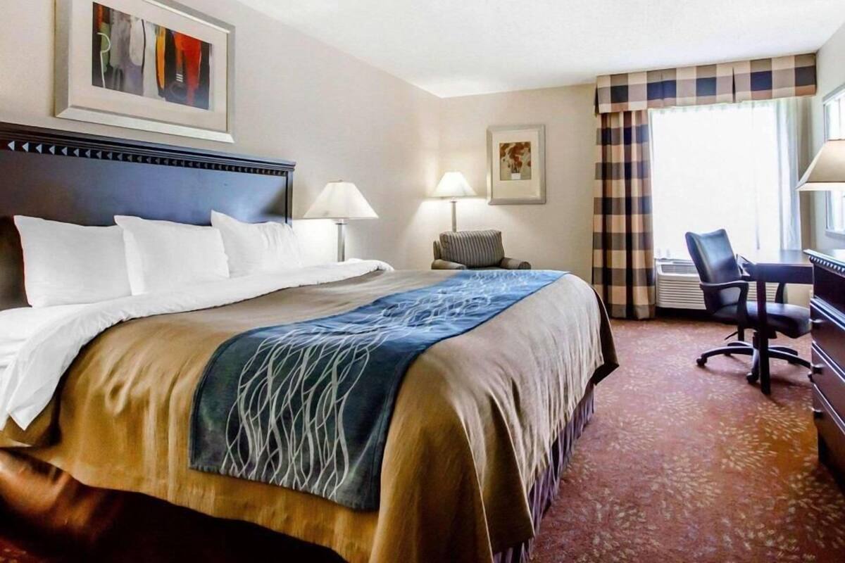 Habitación de hotel con una cama grande, dos lámparas de noche, un escritorio con una silla, una ventana con cortinas y obras de arte en las paredes.