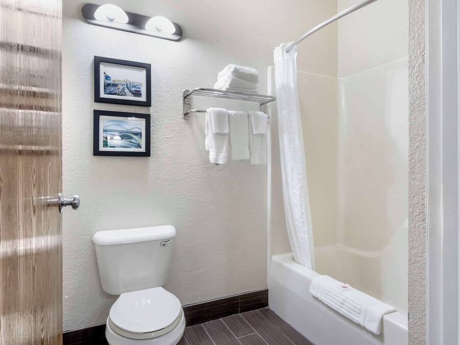 A bathroom with a toilet, a bathtub, a shower curtain, and two framed pictures on the wall.