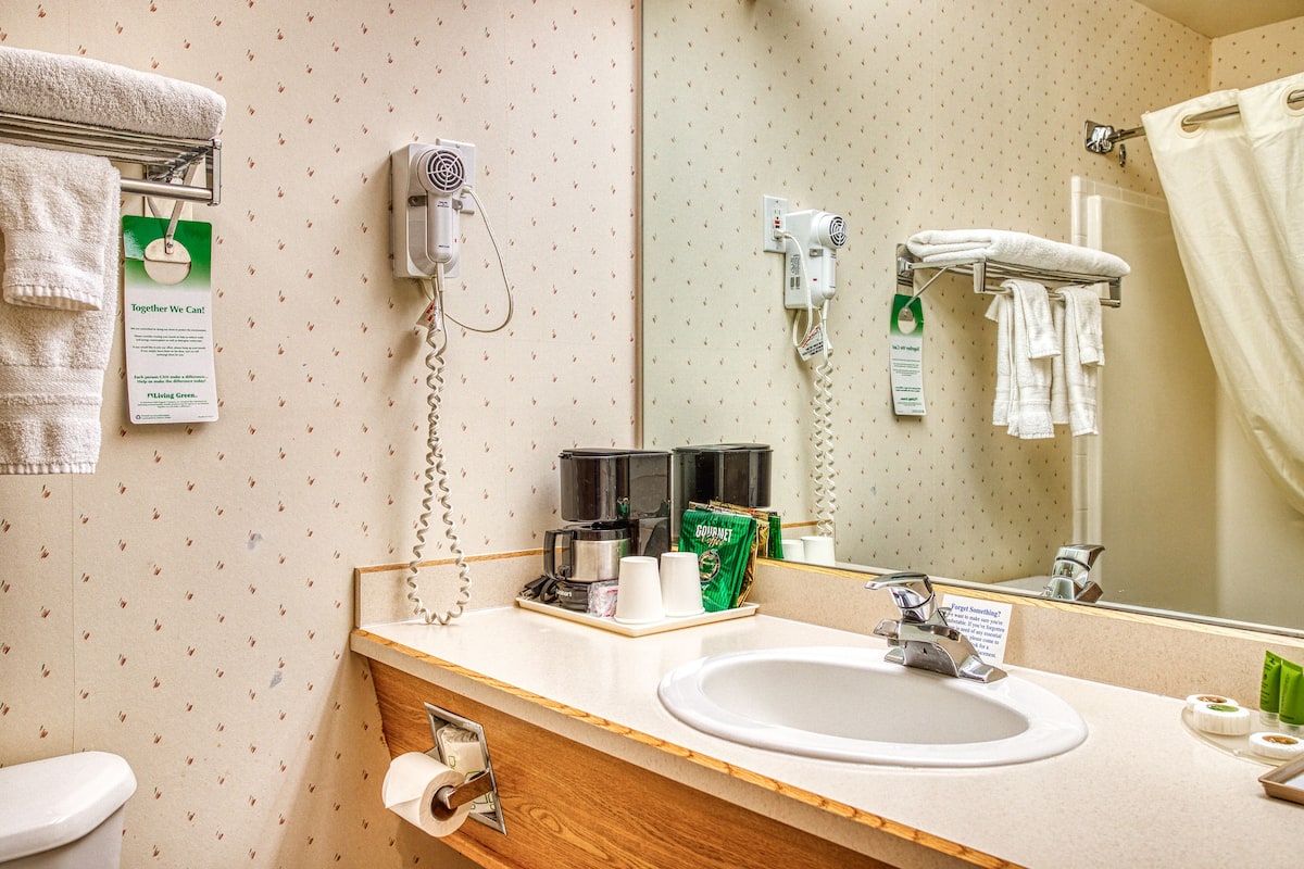 combined shower/bathtub, free toiletries, hair dryer, towels