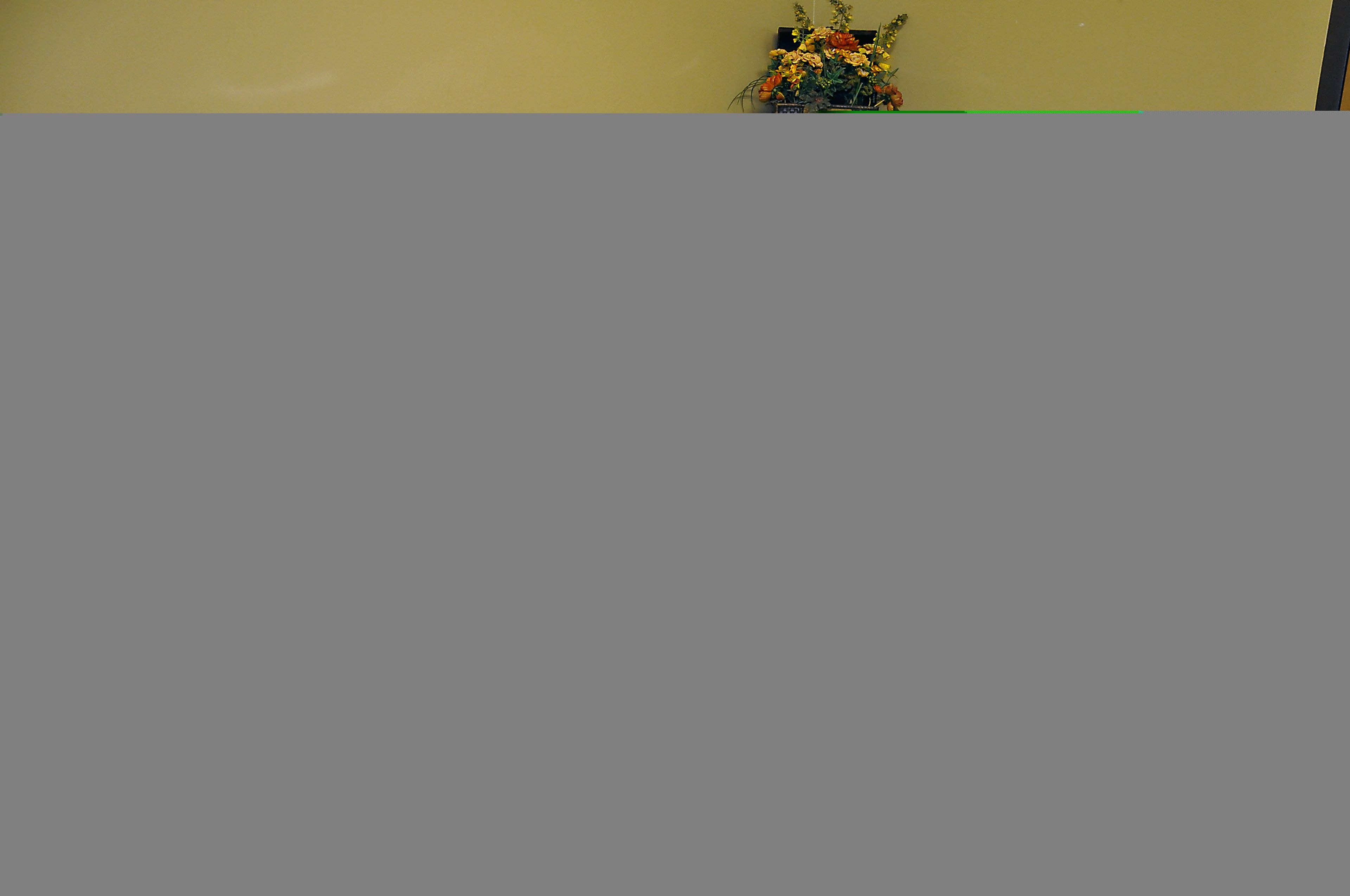 A room with a yellow wall and a green line on the floor.