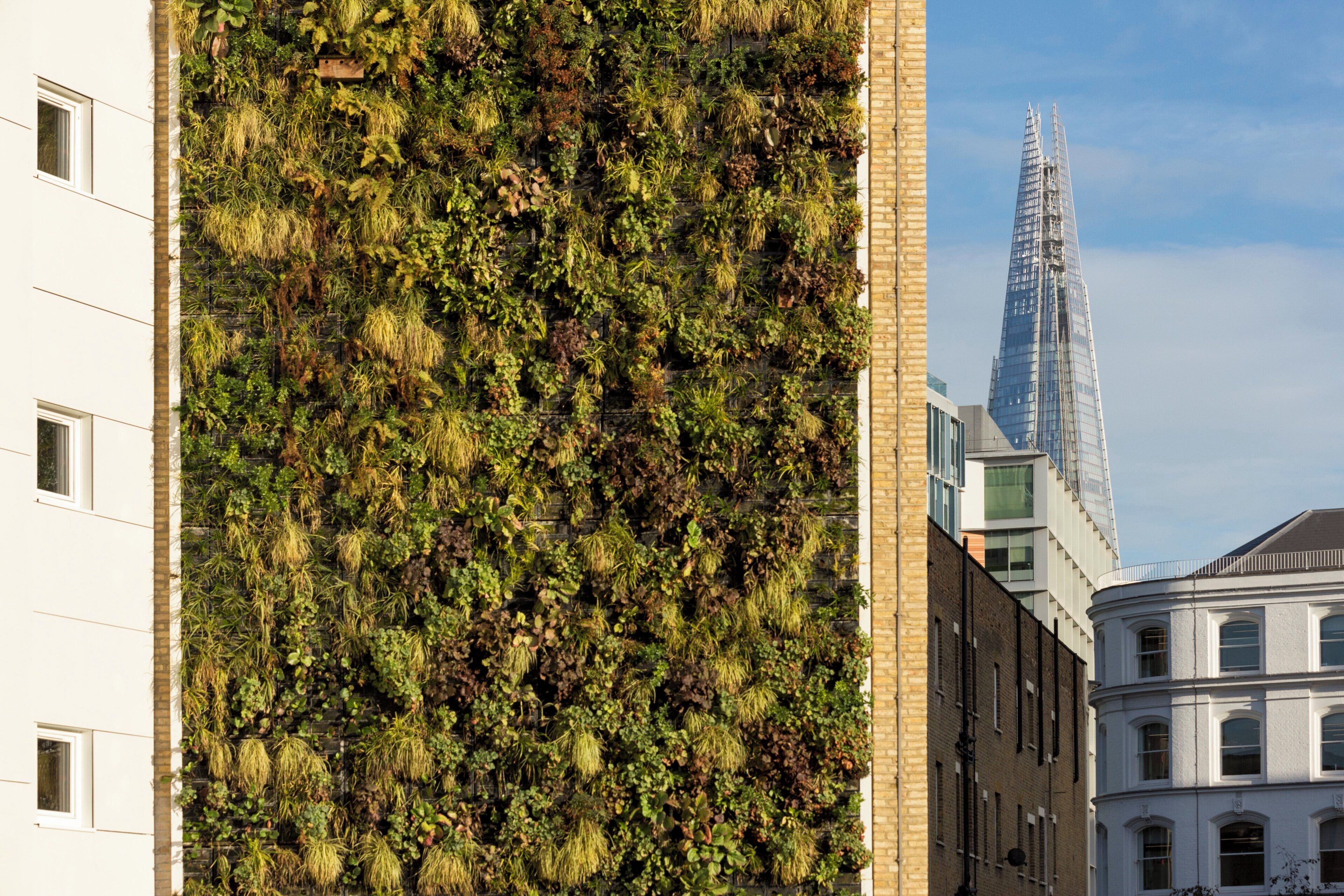 Photo - Holiday Inn Express London - Southwark by IHG