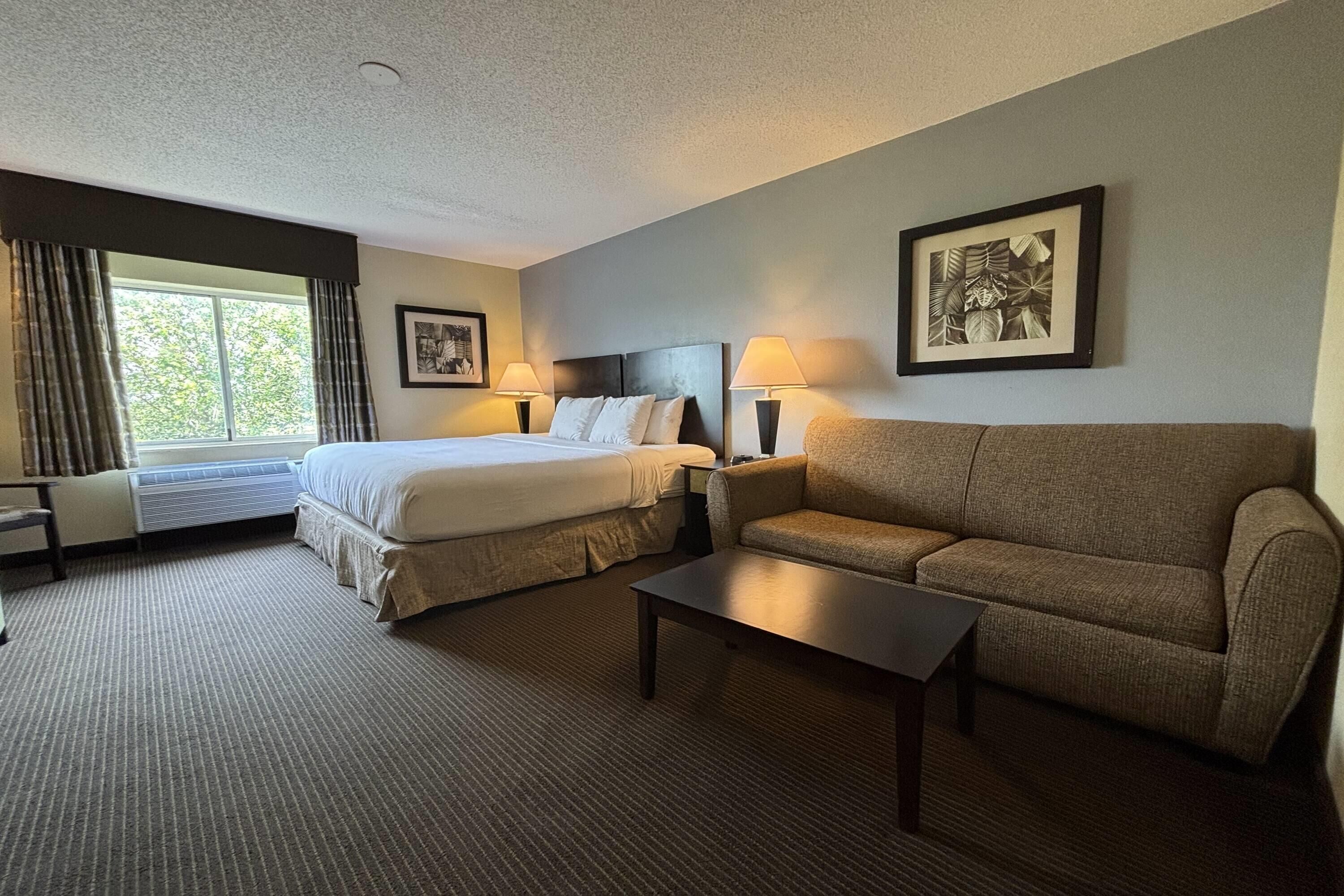 Una habitación de hotel con cama, sofá, mesa de centro, dos lámparas de noche y un cuadro en la pared.