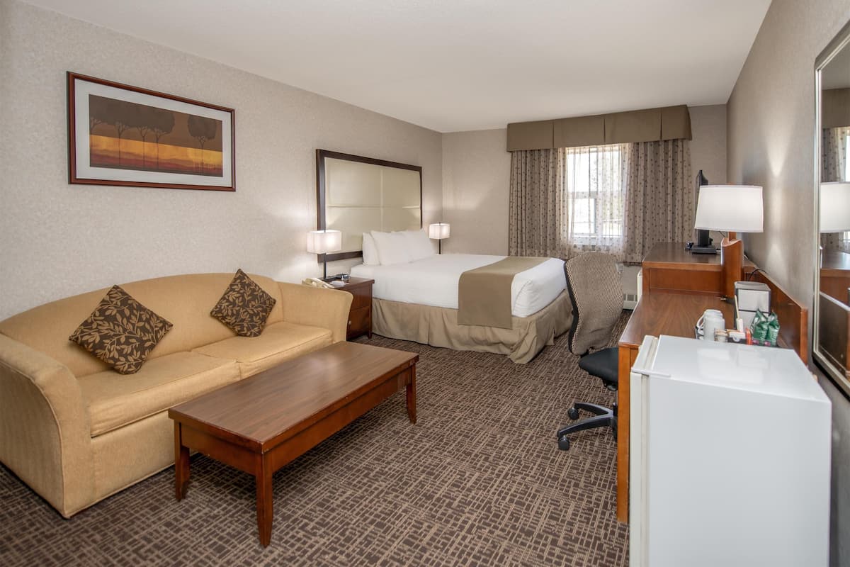Room, 1 Queen Bed