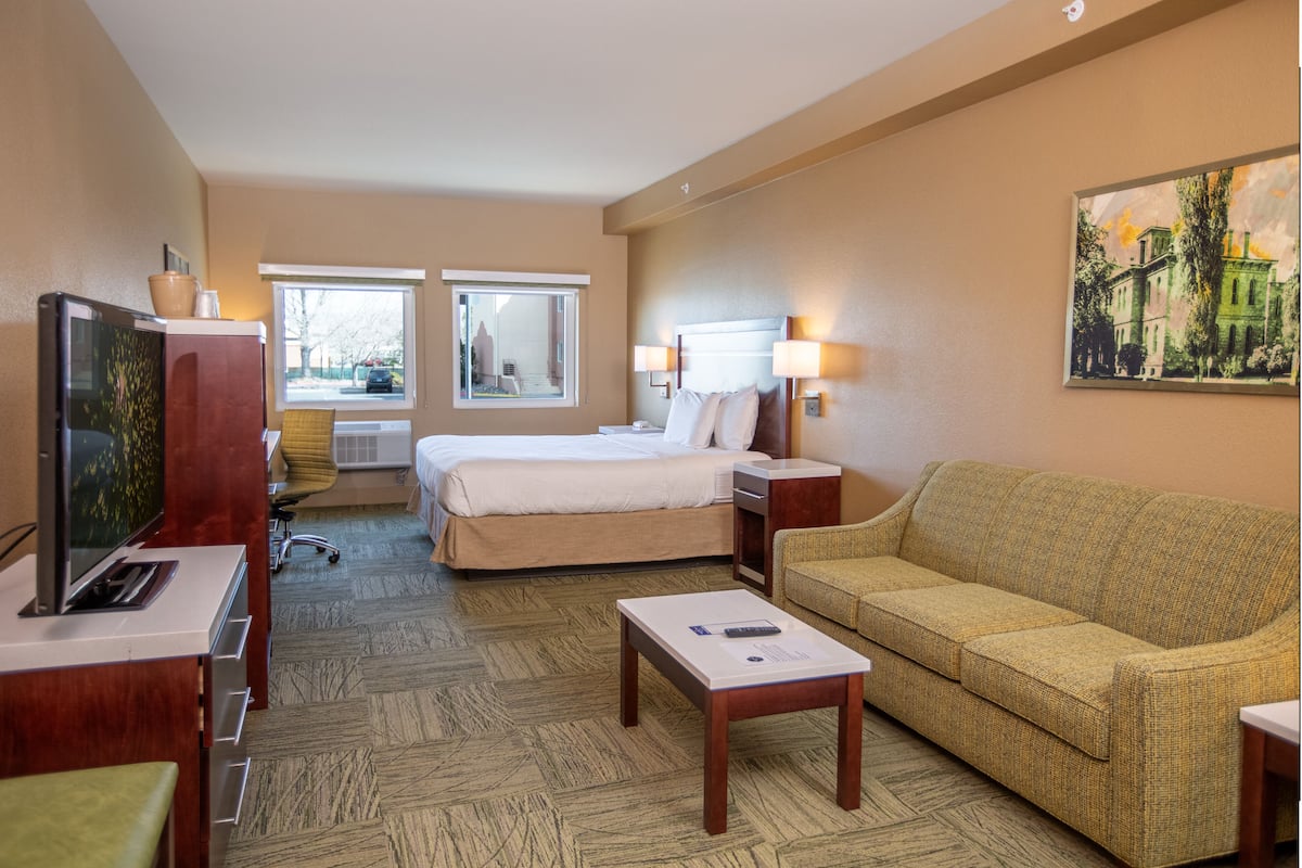 A hotel room with a bed, a sofa, a TV, a desk, and a painting on the wall.