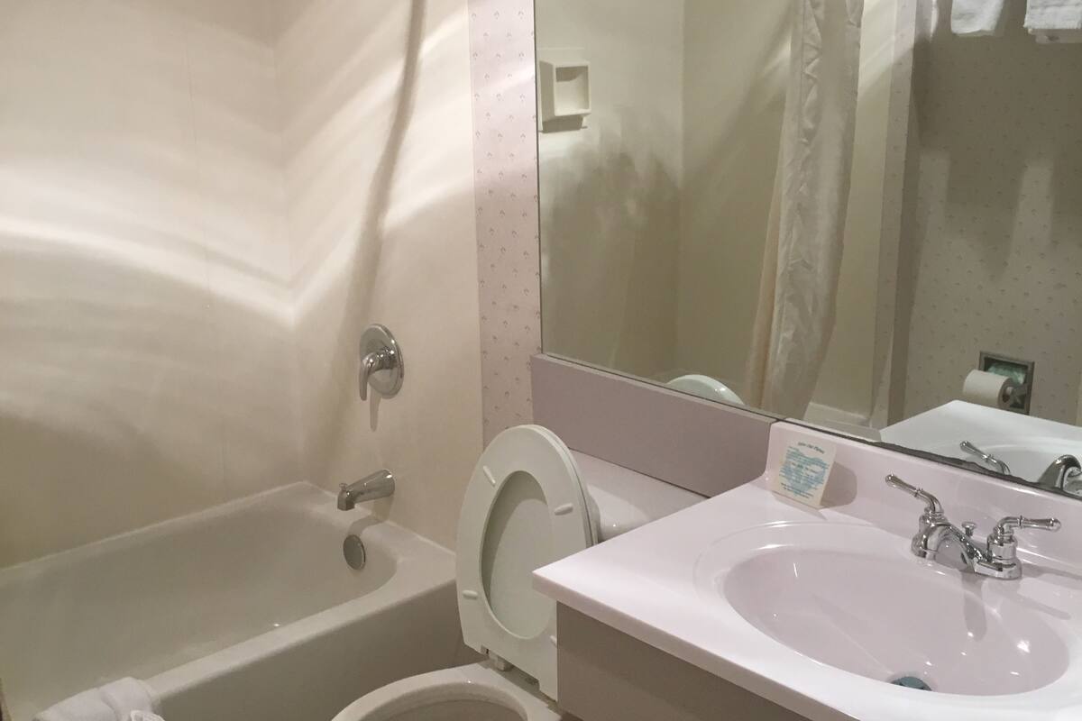 combined shower/bathtub, hair dryer, towels