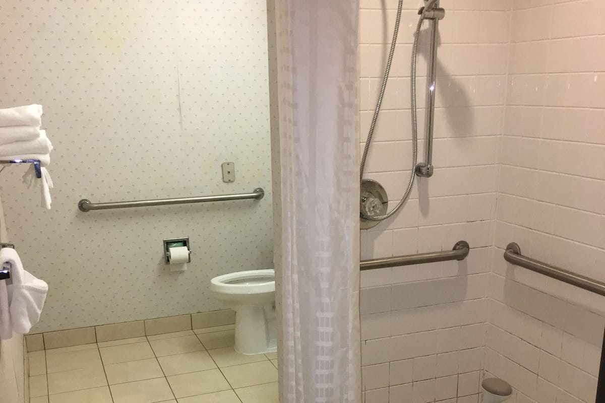 combined shower/bathtub, hair dryer, towels
