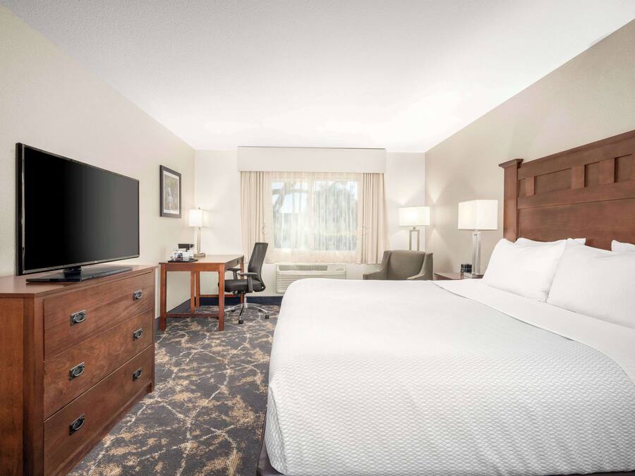 Premium bedding, down comforters, pillowtop beds, desk