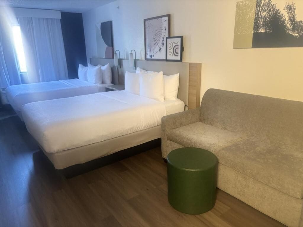 Une chambre d’hôtel avec deux lits, un canapé, une poubelle verte et des œuvres d’art accrochées aux murs.