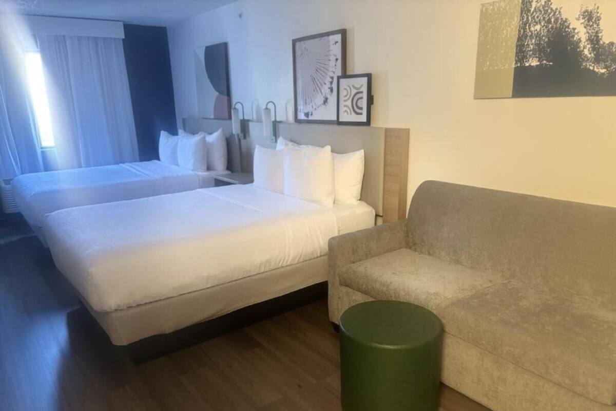 A hotel room with two beds, a sofa, a green trash bin, and artwork on the walls.