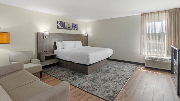 Camera d'albergo moderna con un letto grande, un divano, un comodino e una finestra con tende.