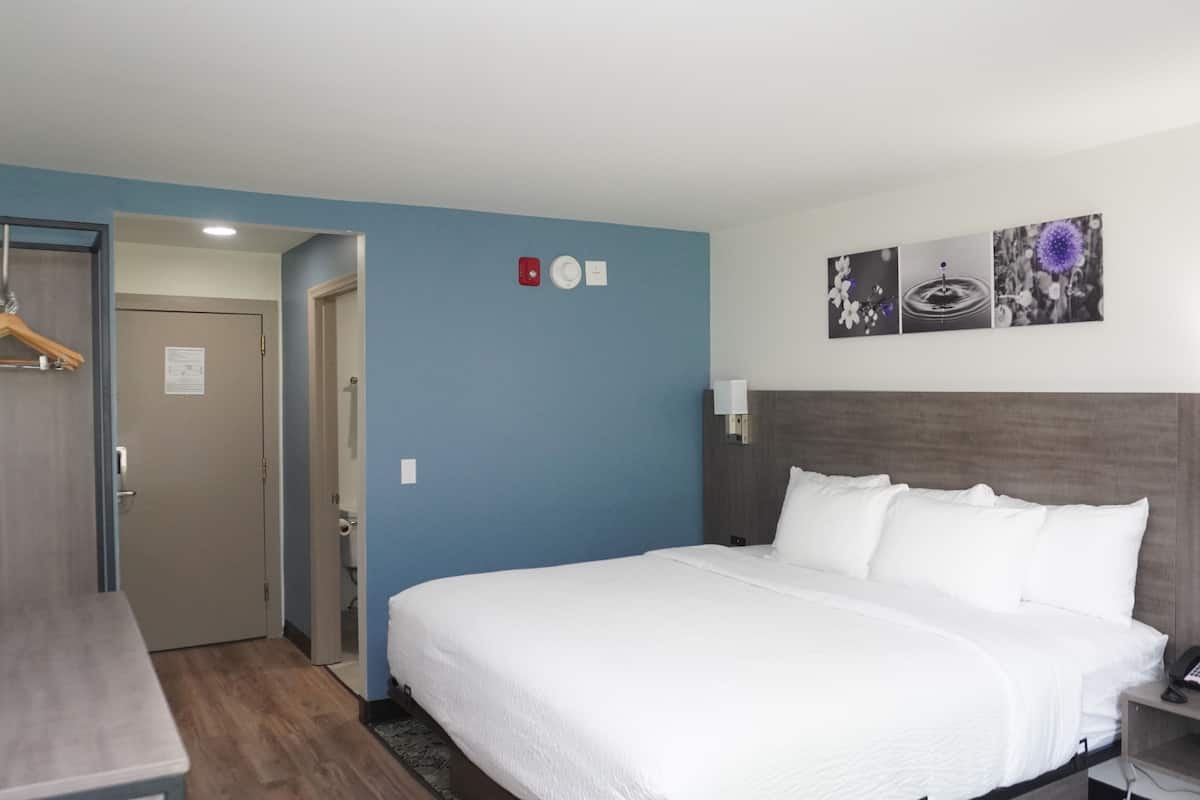 Standard Room, 1 King Bed, Non Smoking | Iron/ironing board, rollaway beds, free WiFi, bed sheets