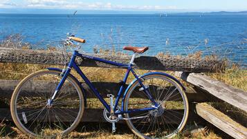 Ein blaues Fahrrad steht an einer Holzlattenzaun mit Blick auf das Meer.