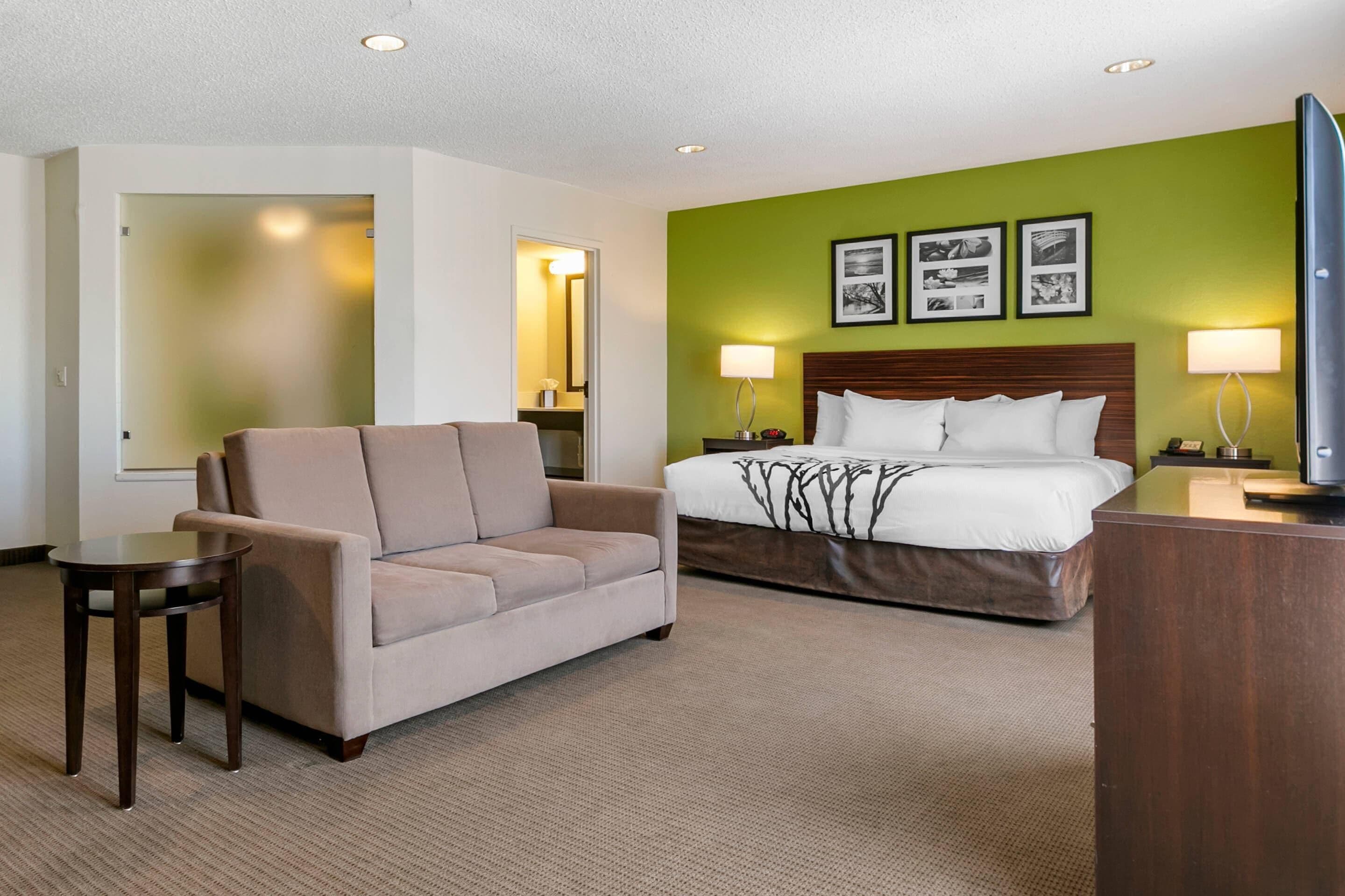 A hotel room with a bed, a sofa, a small table, and a TV.