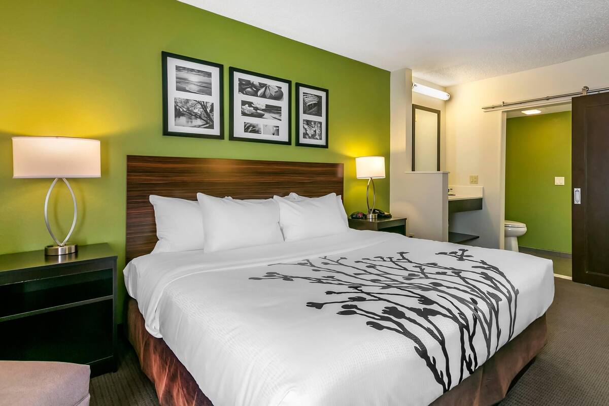 A hotel room with a large bed, green walls, and framed pictures above the bed.