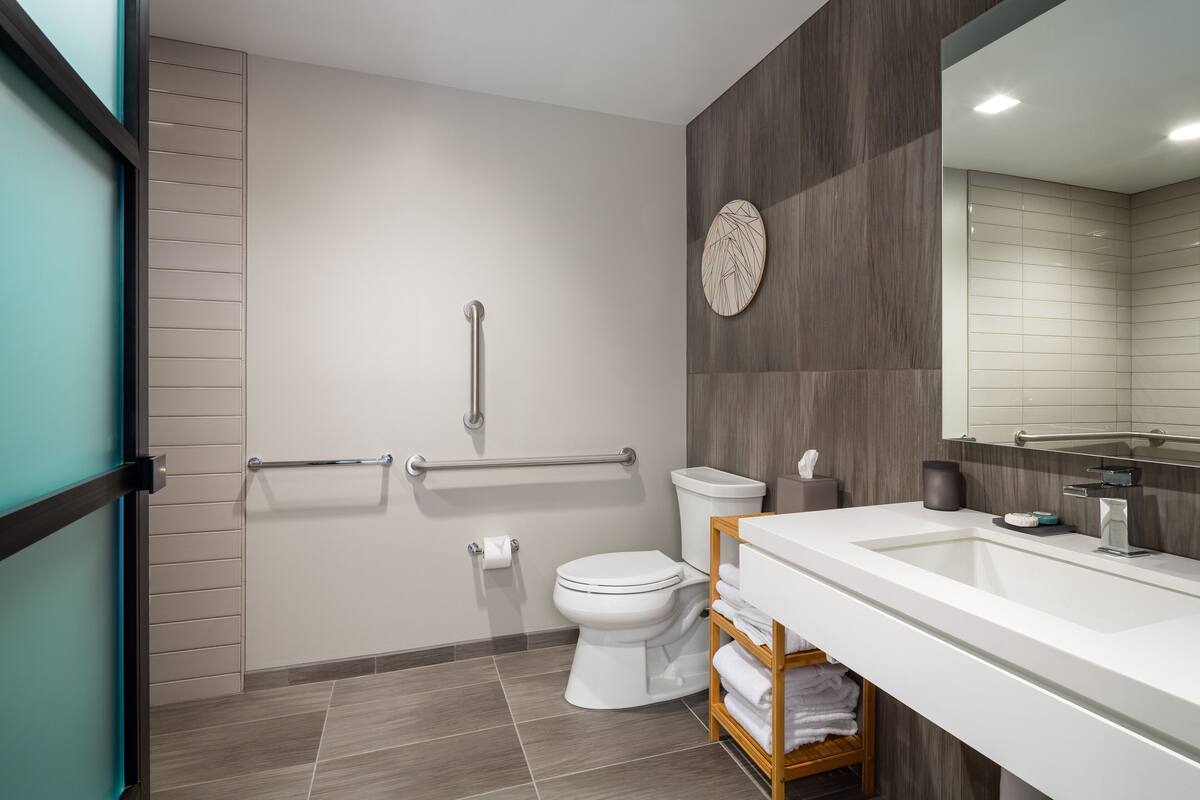 combined shower/bathtub, free toiletries, hair dryer, towels