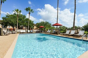 Piscine extérieure, parasols, chaises longues