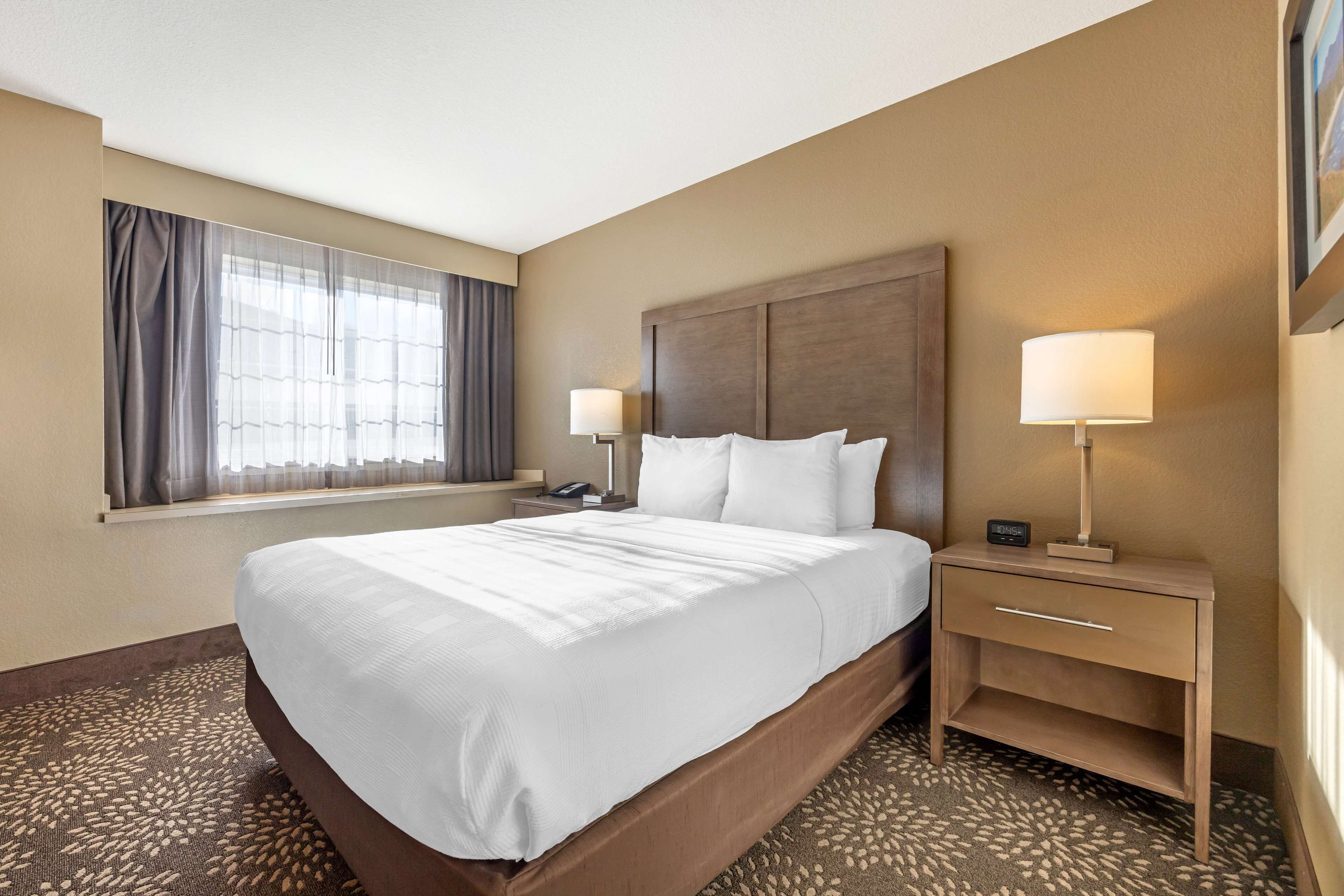 Quarto de hotel com uma cama grande, duas mesas de cabeceira com luminárias, uma janela com cortinas e um tapete estampado.