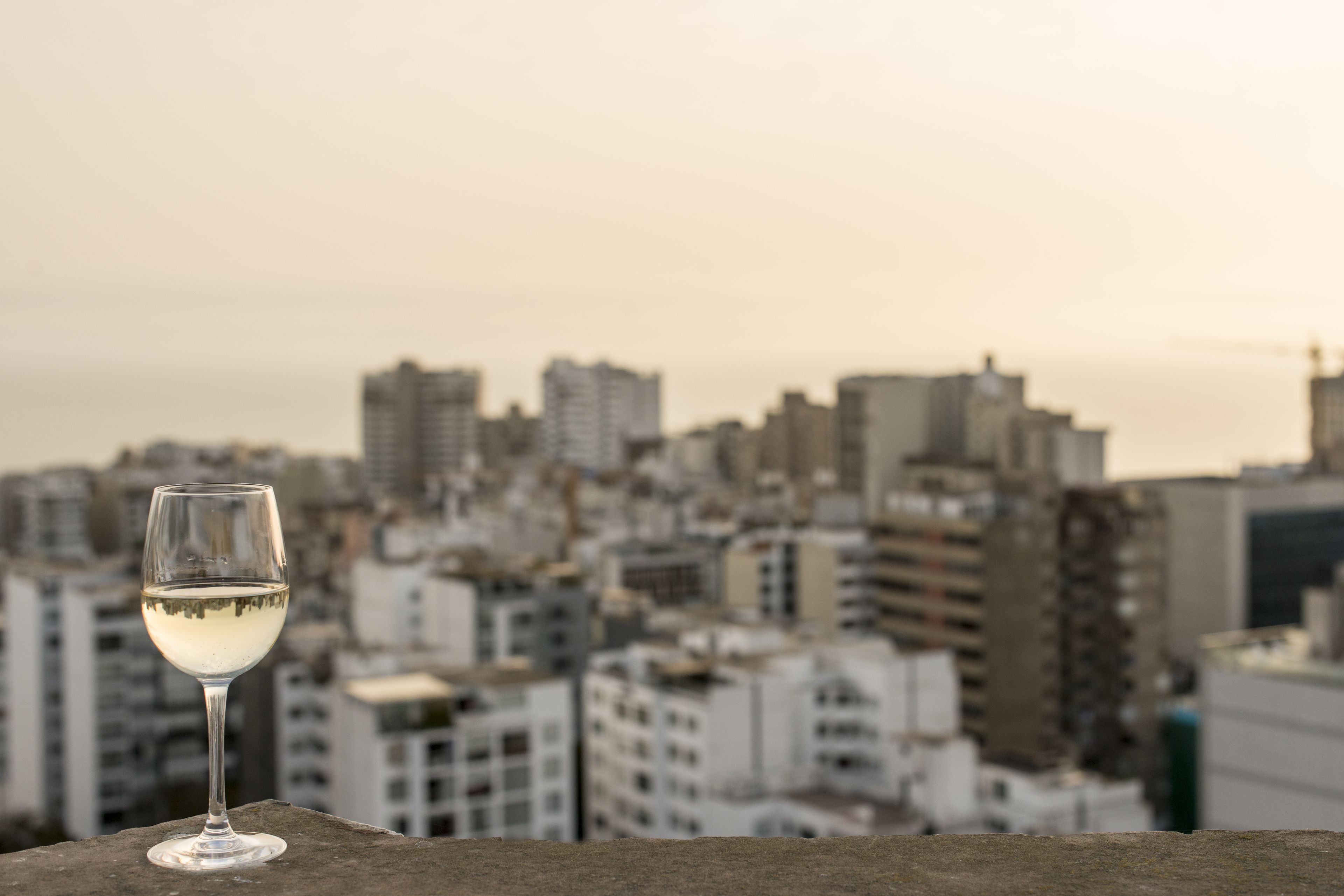 A glass of white wine on a ledge with a cityscape in the background.