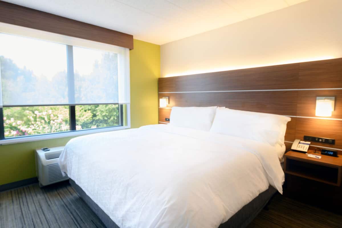 A hotel room with a large bed, a bedside table with a phone and a lamp, and a window with a view of greenery.