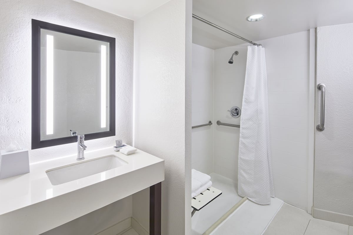 combined shower/bathtub, free toiletries, hair dryer, towels