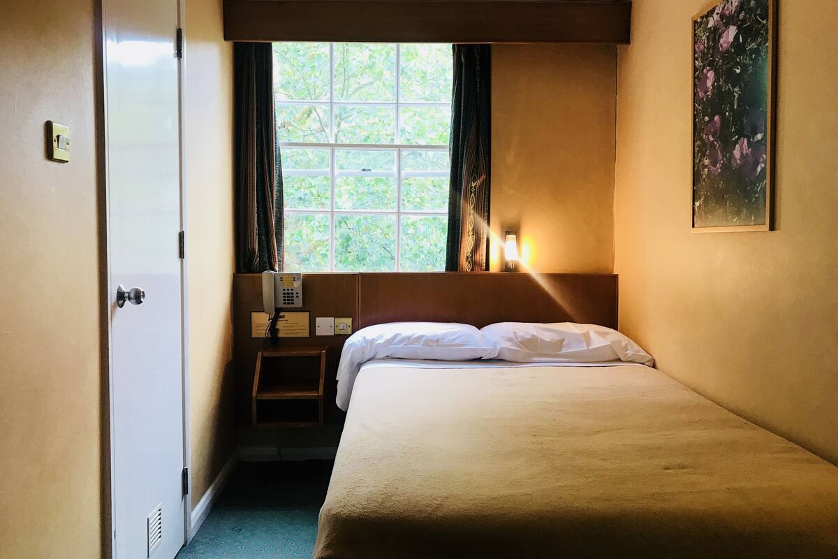 Habitación de hotel con cama, ventana con cortinas, lámpara de noche y un cuadro en la pared.