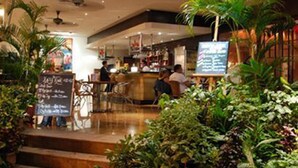 An indoor space with a bar area, seating, and greenery.