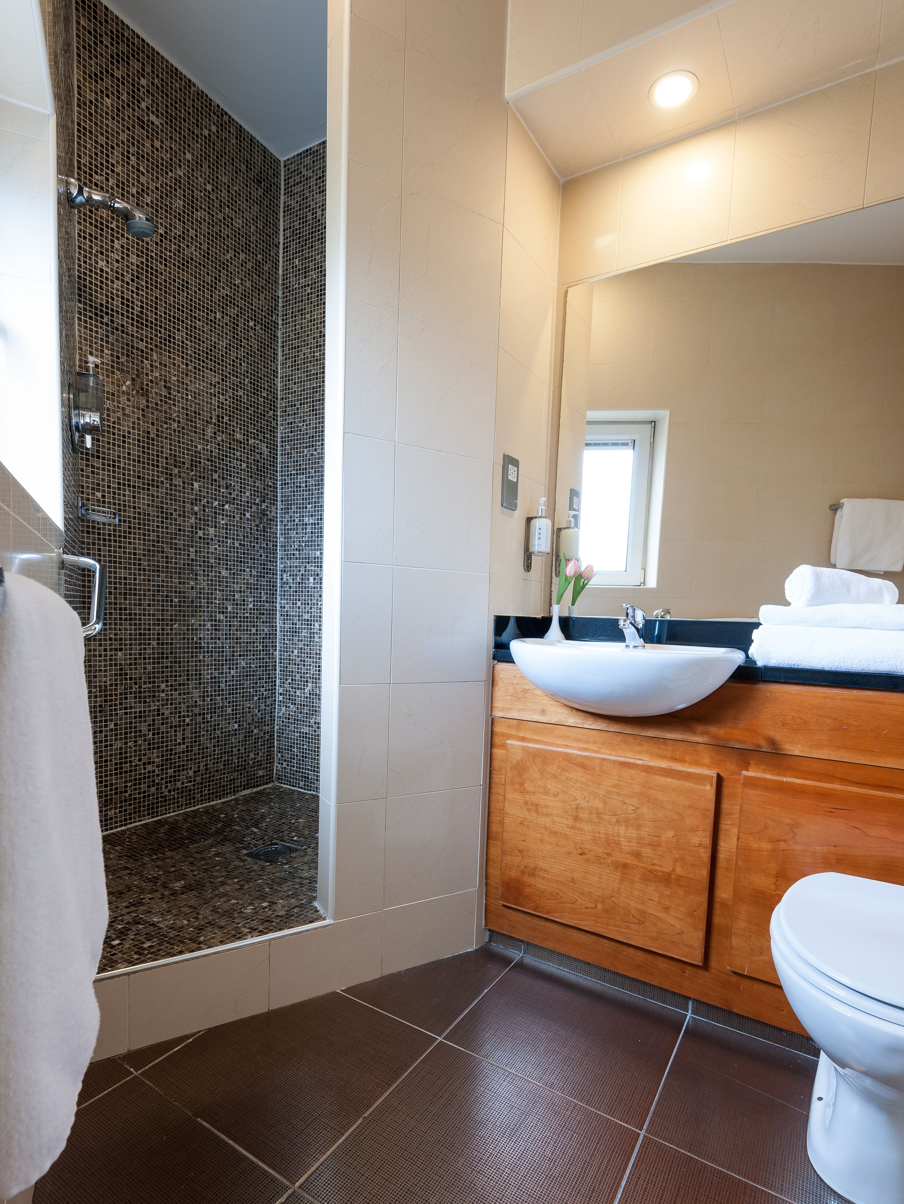 combined shower/bathtub, hair dryer, towels