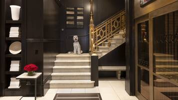 Un intérieur moderne avec un escalier, un chien et un vase de roses rouges.