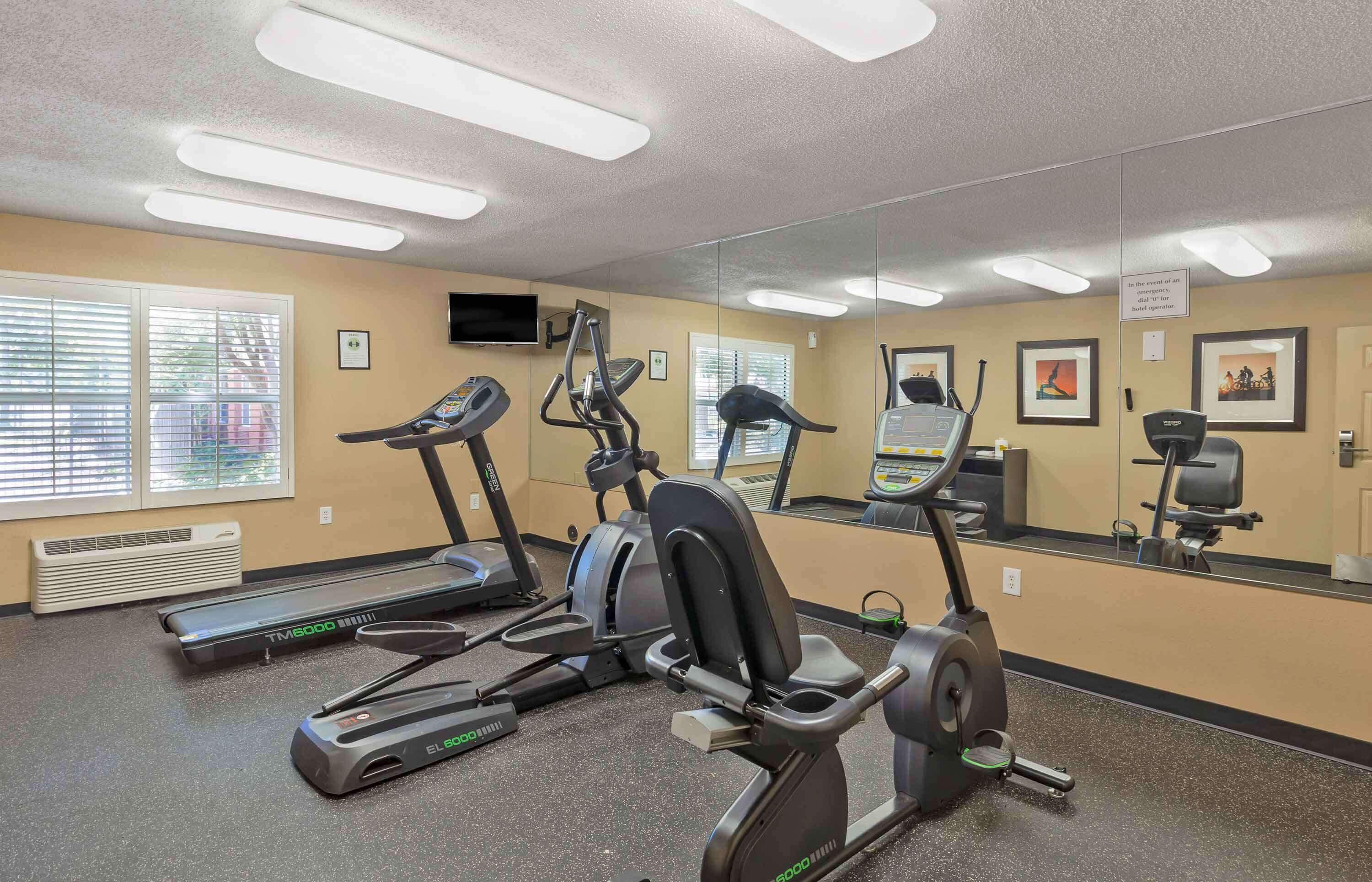 A gym with treadmills, elliptical machines, and a mirrored wall.