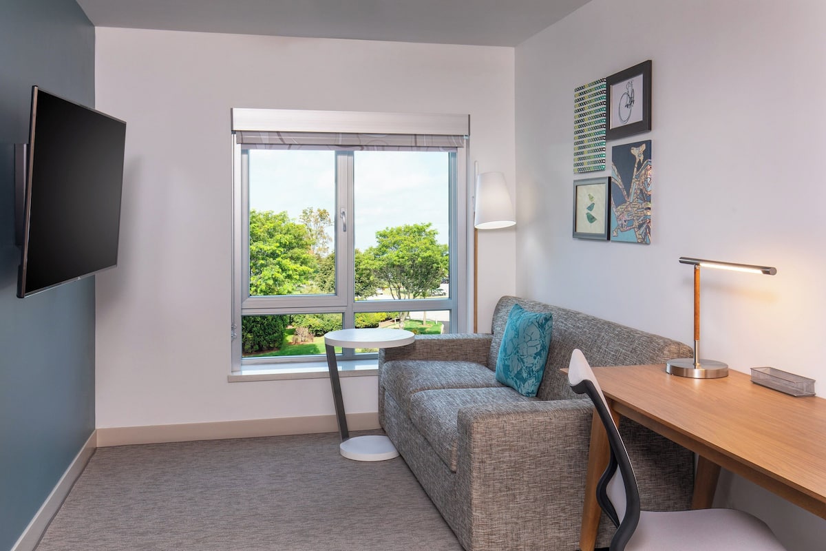 Suite, 1 Bedroom, Non Smoking | Living room | TV