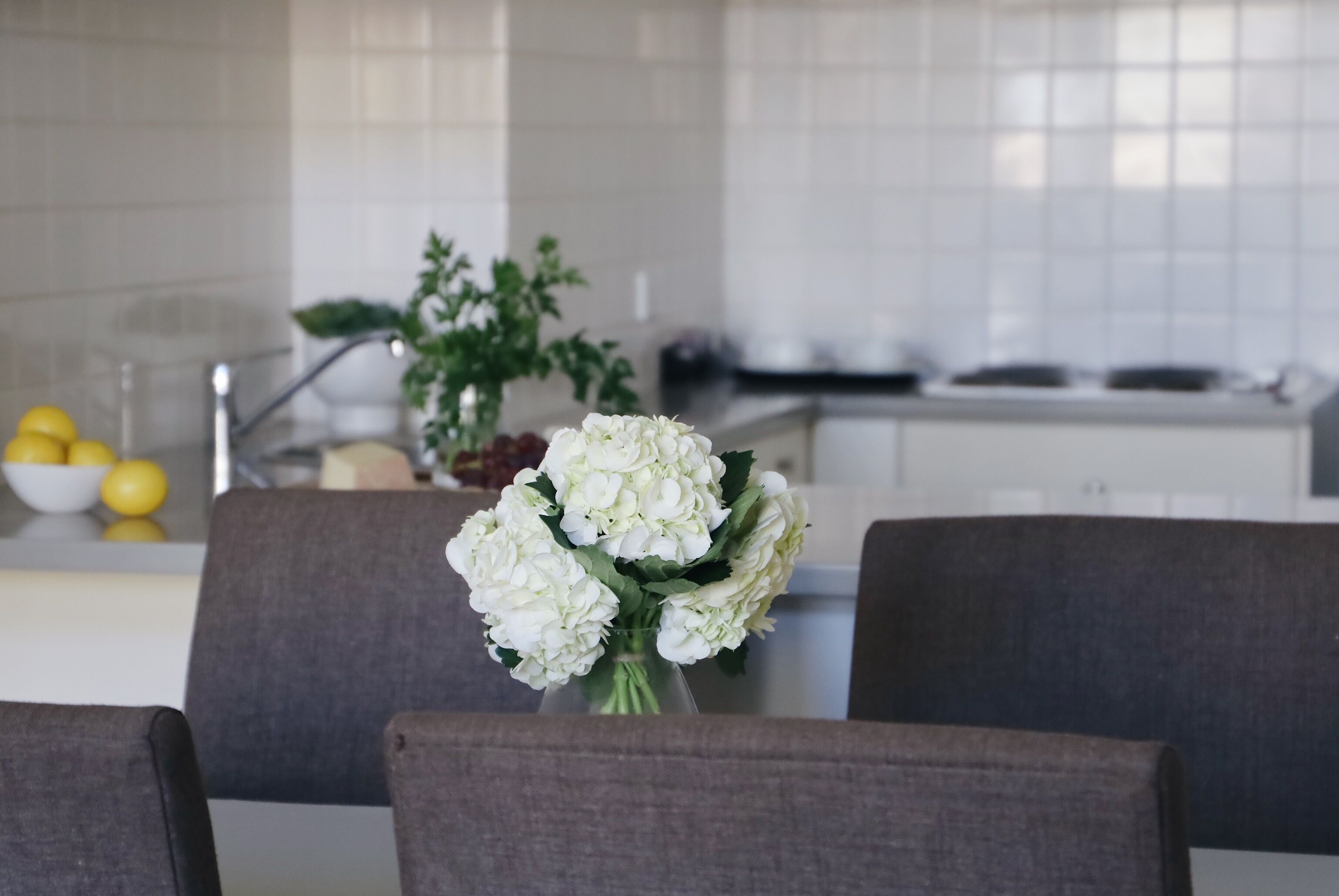 Foto - Hotel Collins