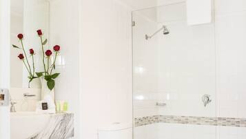 Shower, free toiletries, hair dryer, towels