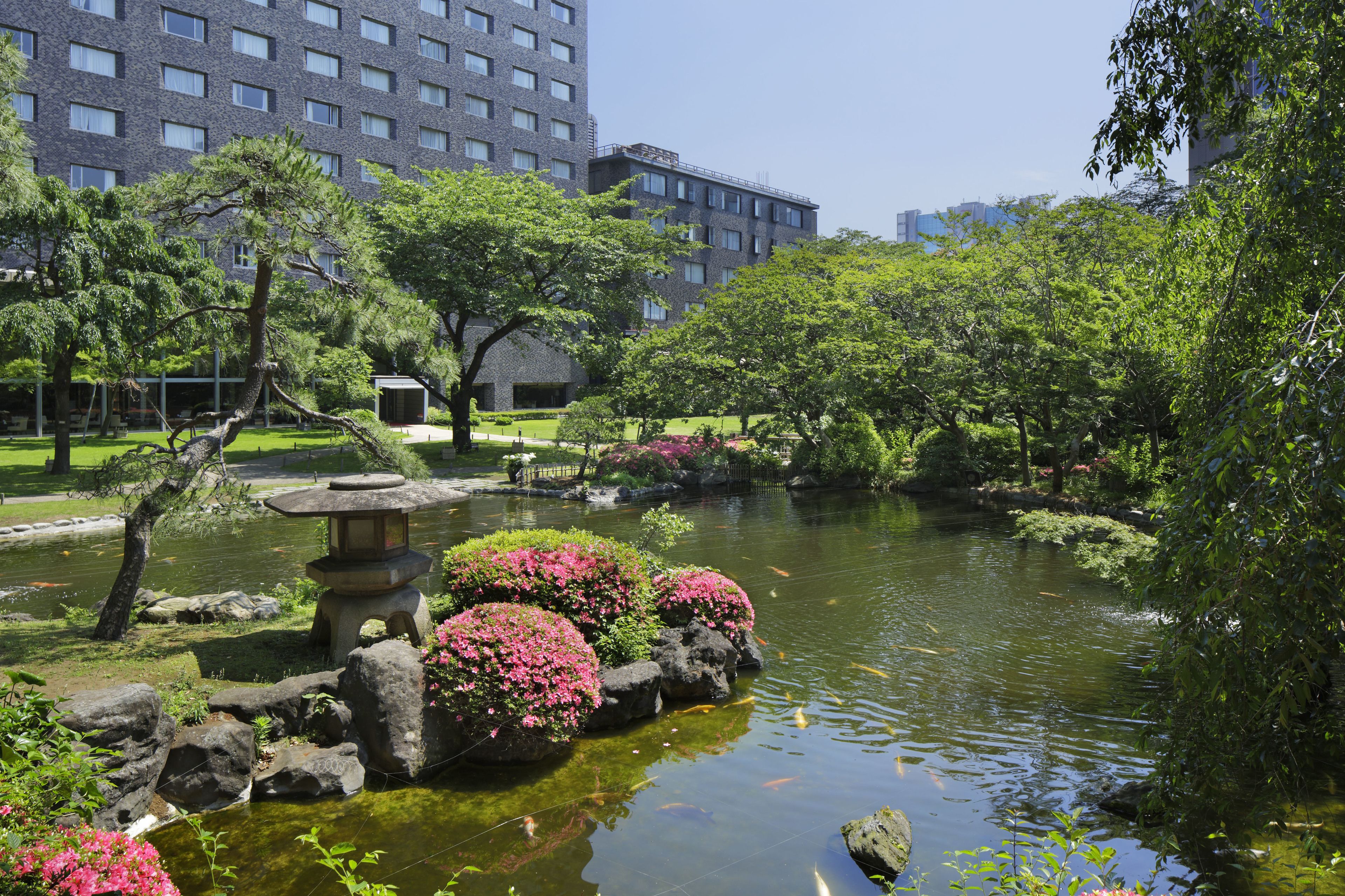 A serene park with a pond, rocks, and pink flowering bushes.