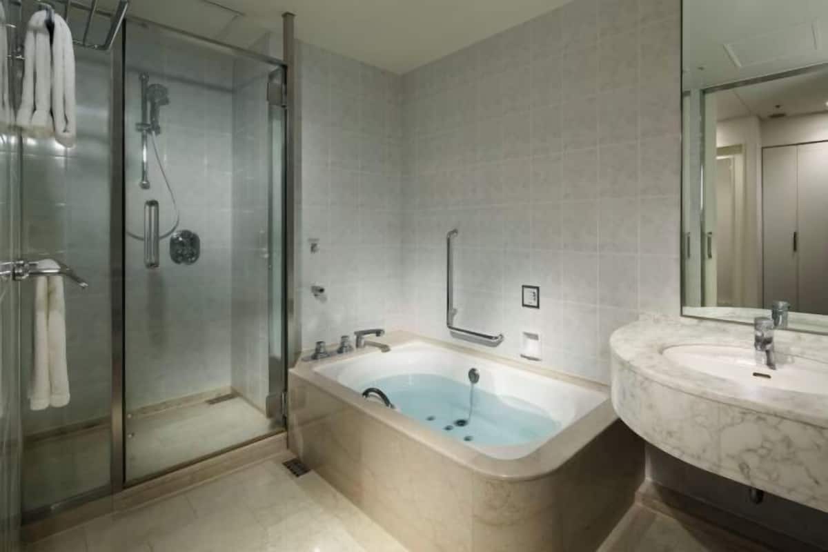 Separate bathtub and shower, jetted bath, free toiletries, hair dryer