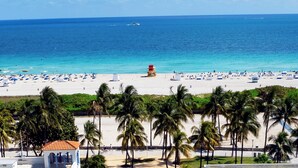 A beach with a lifeguard tower, palm trees, and beach umbrellas. - The Tony Hotel South Beach (Miami Beach)
