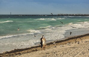 On the beach, white sand, sun-loungers, beach towels