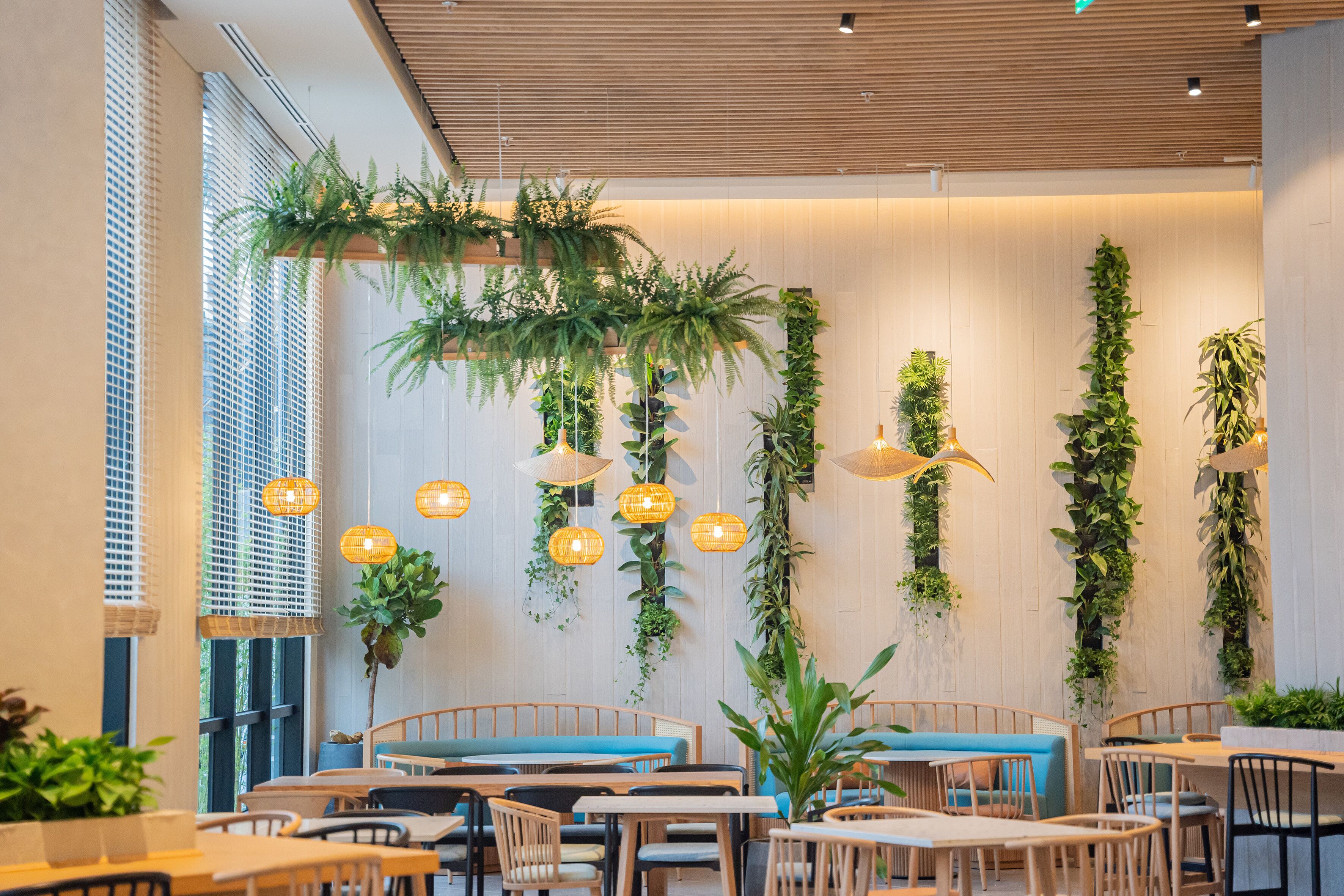 A restaurant interior with wooden tables and benches, hanging plants, and pendant lights.