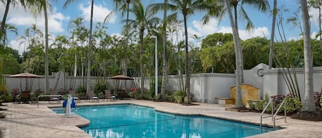 Outdoor pool, sun loungers