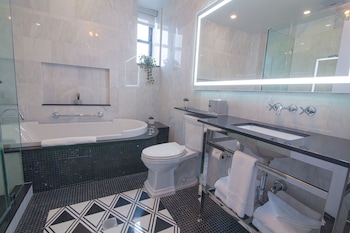 Combined shower/tub, free toiletries, hair dryer, towels at Hotel Belleclaire