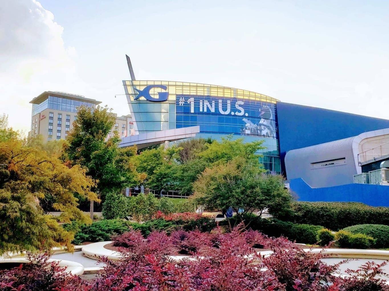 A modern building with a large sign reading "GINTUS" and a blue exterior.