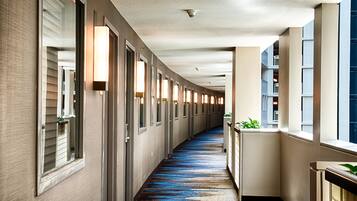 A hotel corridor with a blue carpet, doors with mirrors, and a balcony with plants.