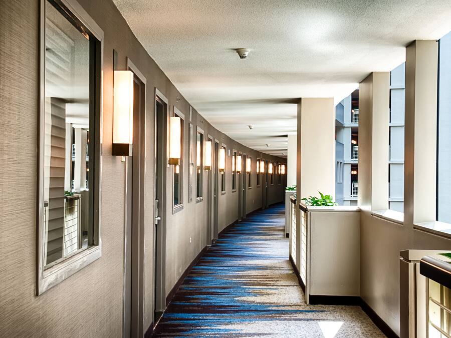 A hotel corridor with a blue carpet, doors with mirrors, and a balcony with plants.