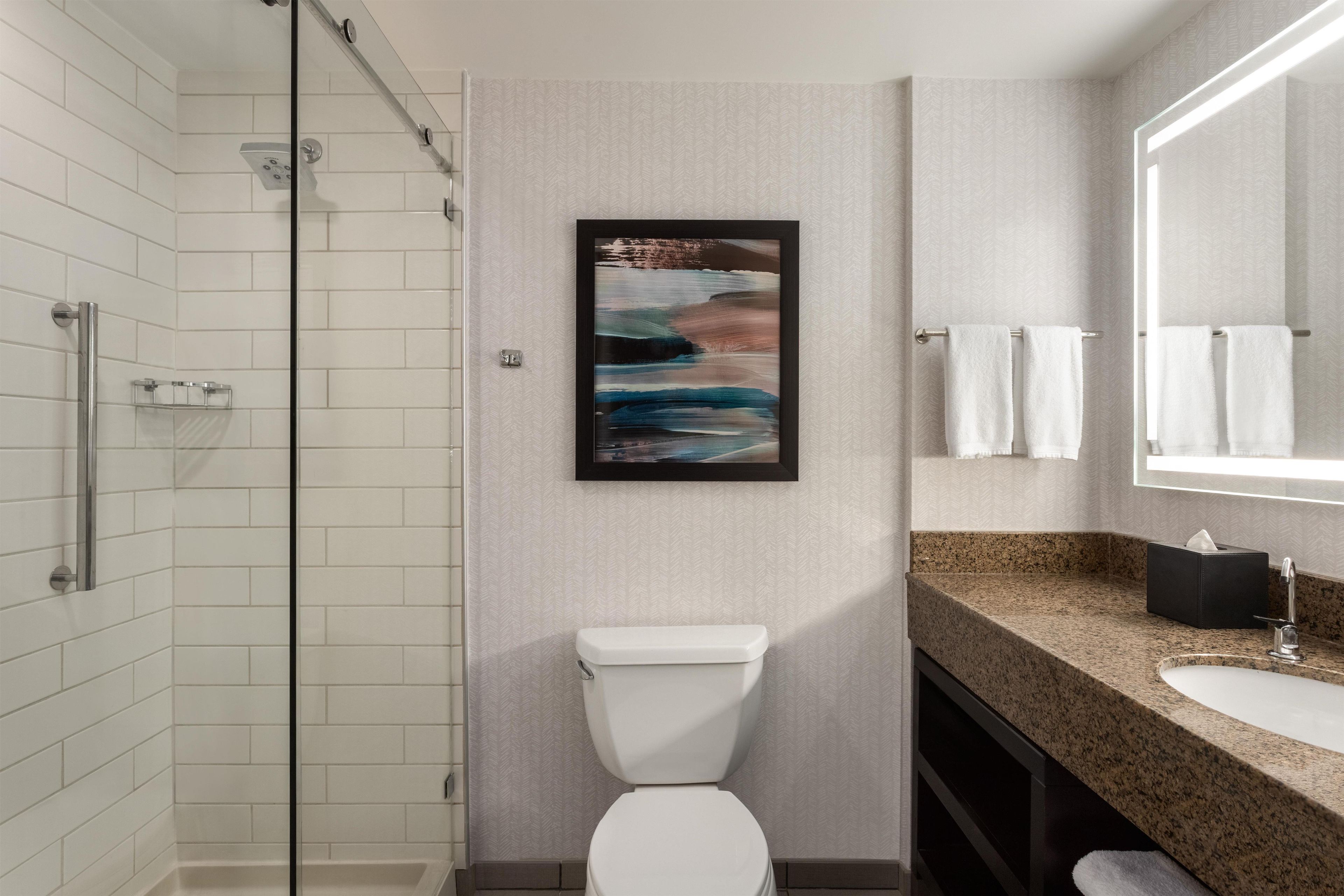 A bathroom with a glass shower enclosure, a white toilet, a sink with a mirror, and a framed abstract painting on the wall.