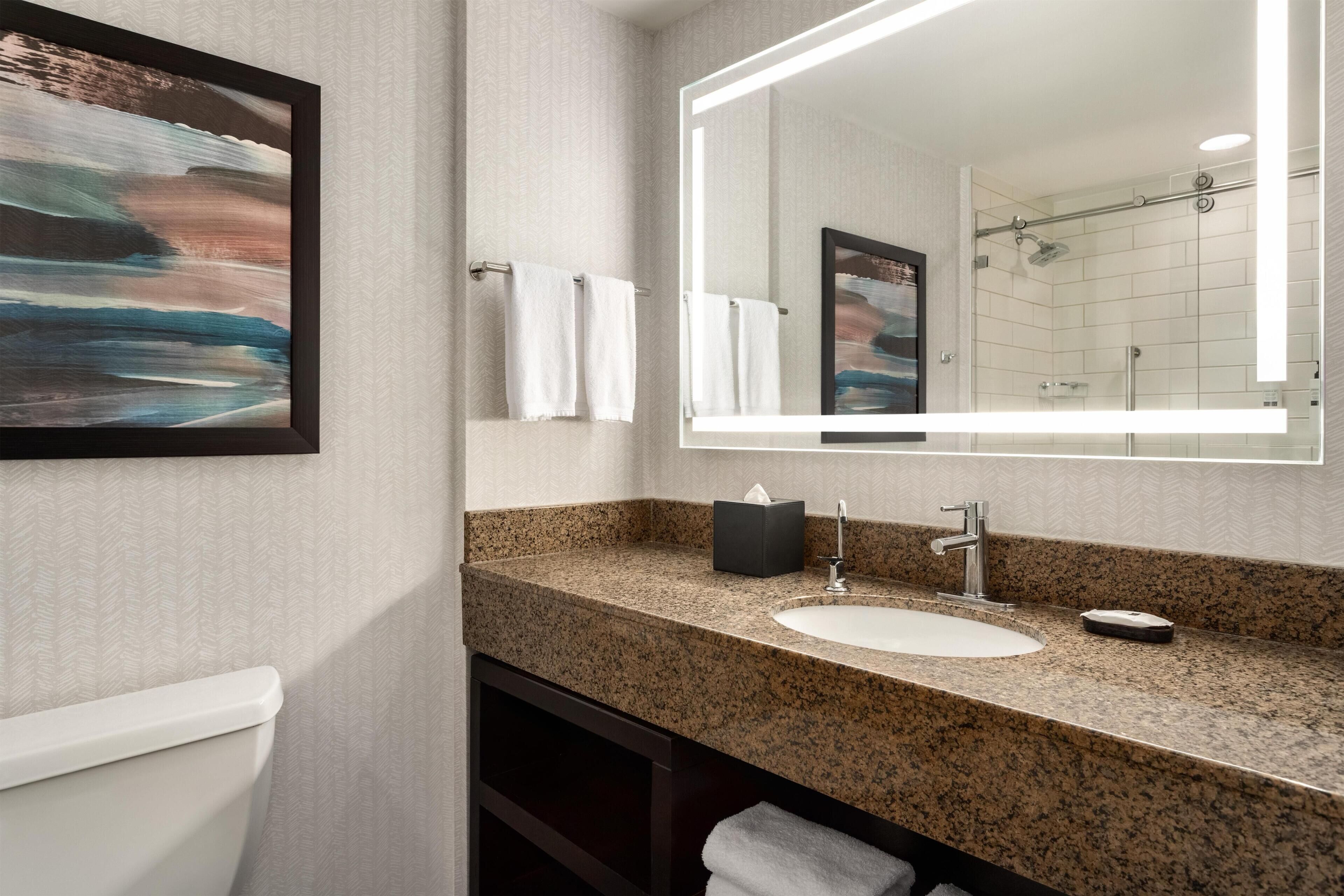 A bathroom with a granite countertop, a white sink, a large mirror, and a framed painting on the wall.