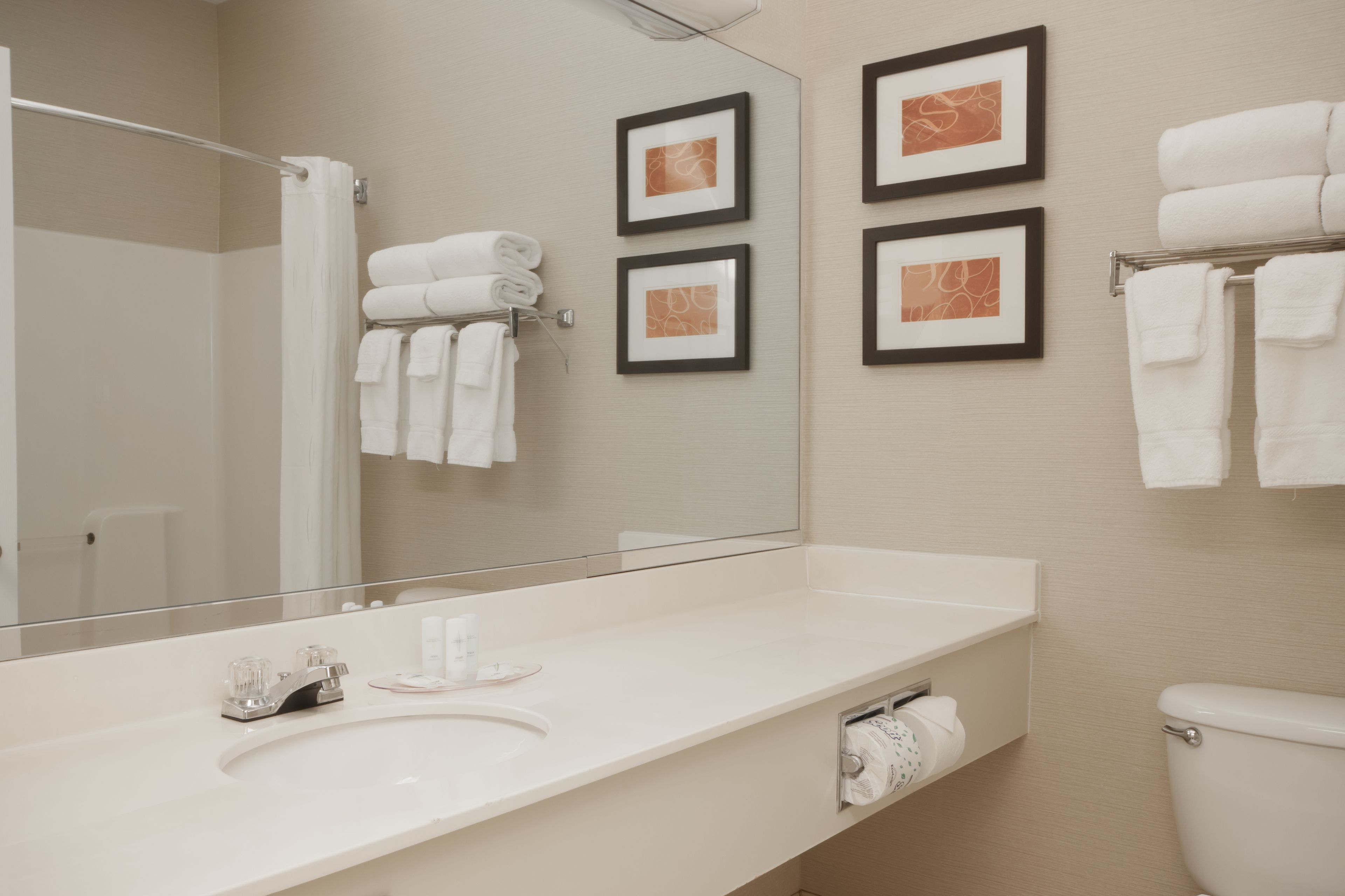 combined shower/bathtub, free toiletries, hair dryer, towels