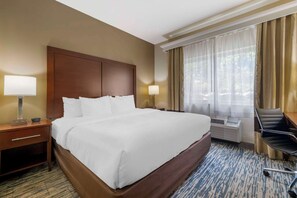 Suite, 1 cama King size y sofá cama, con acceso para personas discapacitadas, para no fumadores | Caja de seguridad en la habitación, escritorio y cortinas blackout 