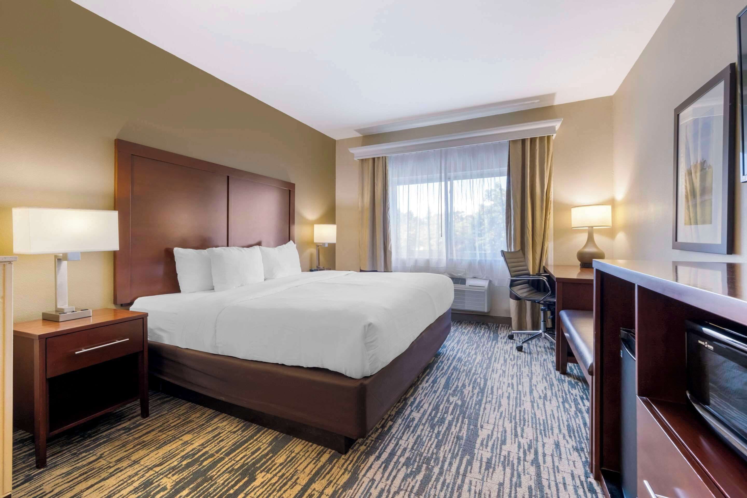 suite, 1 king bed, non smoking | in-room safe, desk, blackout curtains, iron/ironing board